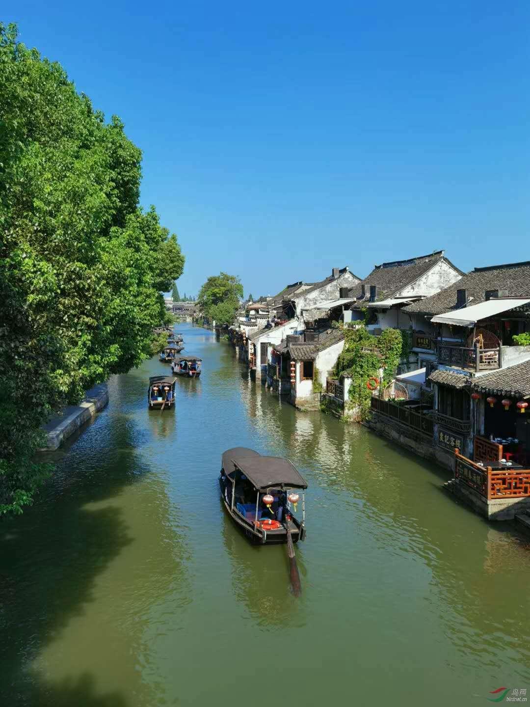 再婚父母的子女能结婚吗